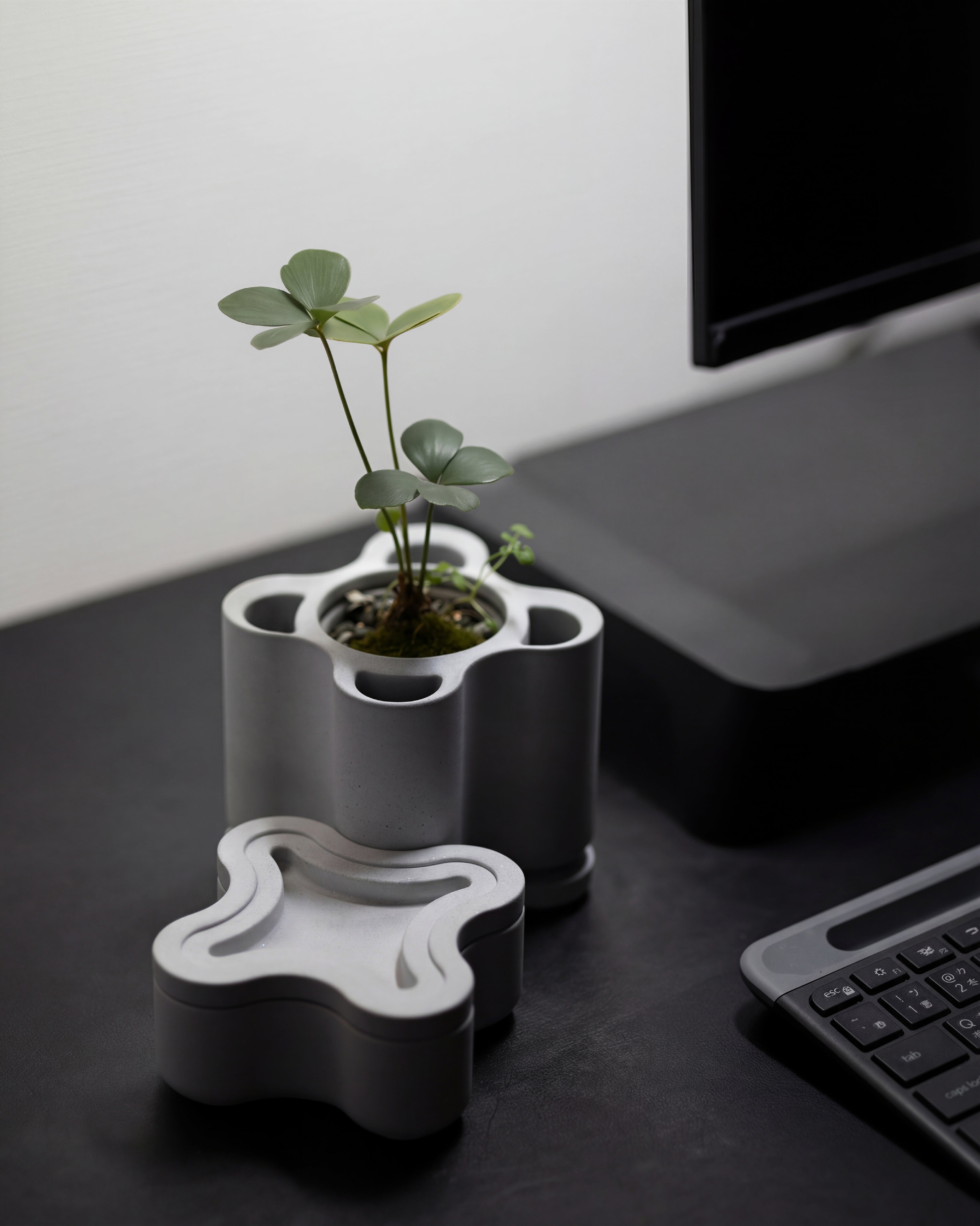 Blossom Vessel - Main