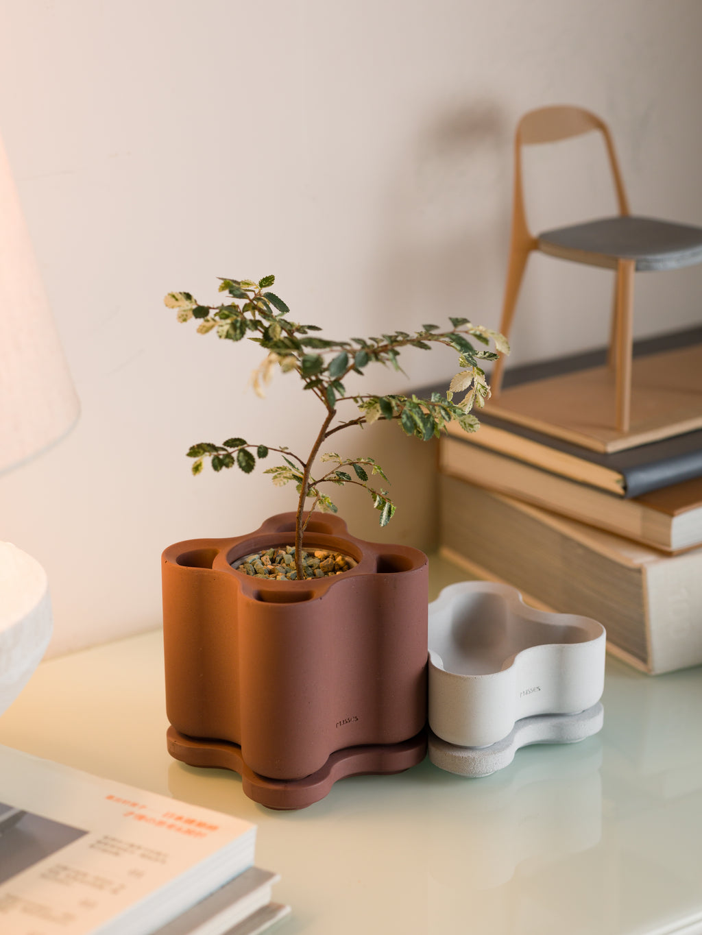 Blossom Vessel - Main