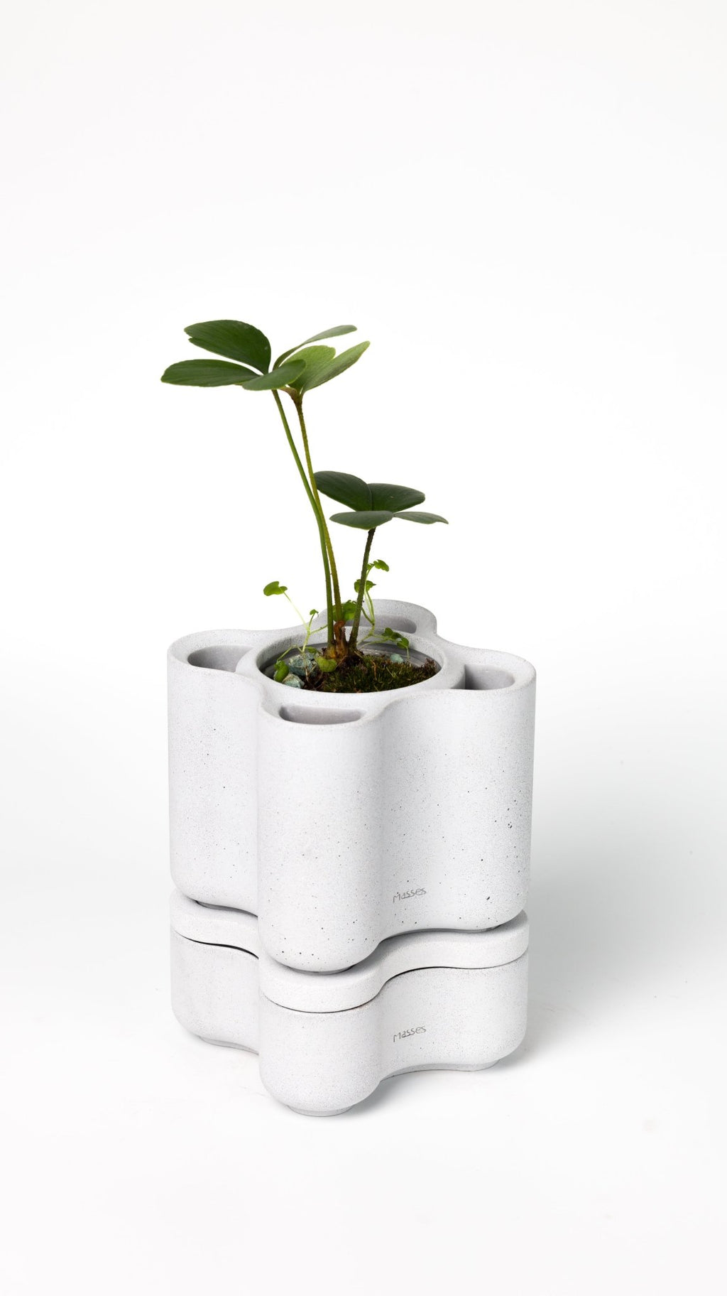 Blossom Vessel - Main - Masses