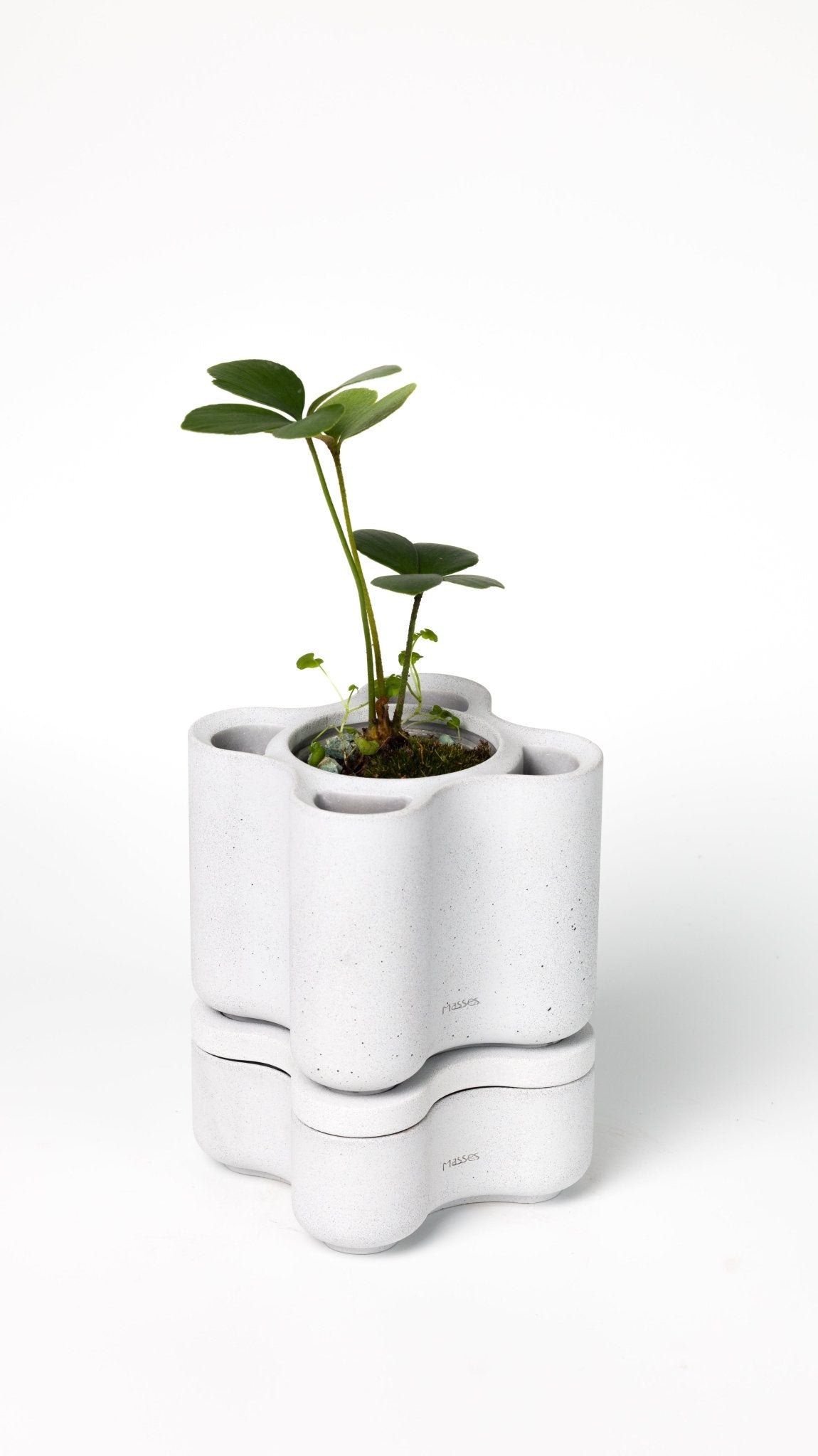 Blossom Vessel - Main - Masses